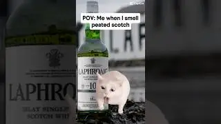 still can&rsquo;t do Peated scotch ￼ #whisky #peatedscotch #yuk #whiskeyadvice #cat