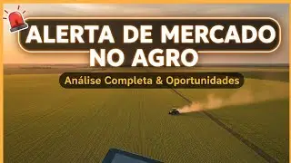 ALERTA DE MERCADO: O Que Aaron Edwards Prevê para Estoques e Clima?