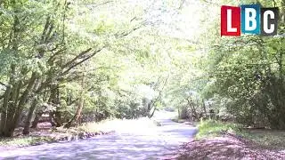 What visitors love about Epping Forest