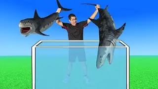 O JOGO DAS FRUTAS MAS COM TUBARÕES!!! (ROBLOX - WATERMELON GO)