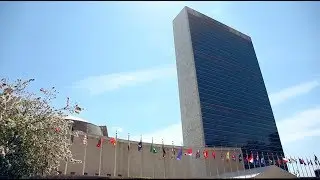 What it's like to be a United Nations intern in New York?