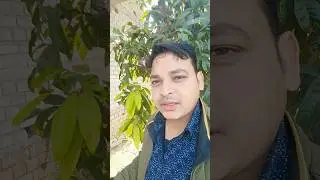 #teamcrazyy #song #youtubeshorts #youtube #shortsviral ##shortvideo #love #funny #short #viral #edit