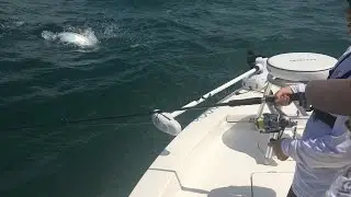 Tarpon Fishing With Captain David Hutcherson in Rough Conditions