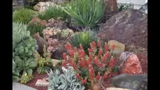 Succulents Simplified: Growing, Designing, and Crafting with 100 Easy-Care Varieties