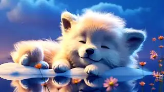 Nighttime Piano Reverie &ndash; Calm Your Mind & Sleep