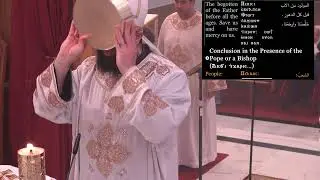 St Mark LA Live