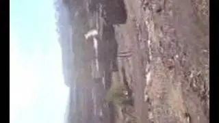 msemrir