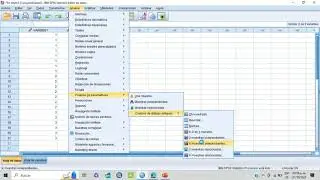 Prueba H de Kruskal Wallis en SPSS