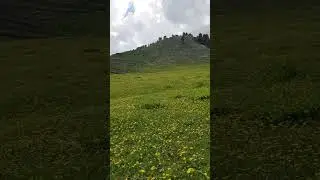 Braju Meadow in Shangla kp beauty Pakistan