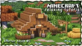 Minecraft 1.21: How to build a simple starter house | Easy Tutorial