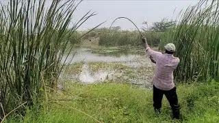 ROHU FISHING🎣TECHNIQUES LOCAL RIVER FISHING Catching in Krishna Village Fishing 