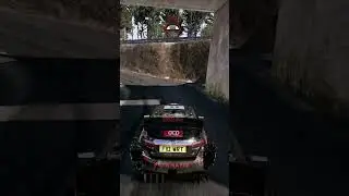 Do you enjoy games like WRC 8