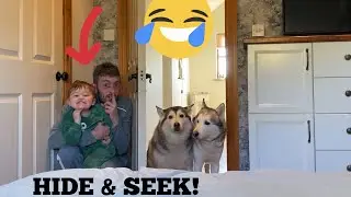 Hide & Seek With My Huskies & Baby In Our Brand New Home! [part 2]