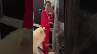 Lai ho gai 😃