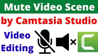 How to Remove Audio Sound from Video | Mute Audio Sound of Video in Camtasia Studio 9 Tutorial 2023