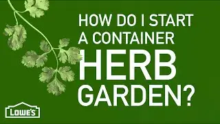 How Do I Start a Container Herb Garden? | Gardening Basics w/ William Moss