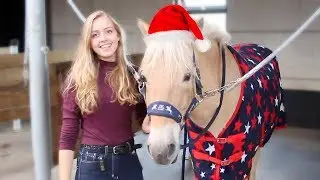 Spullen passen bij mijn nieuwe paard!