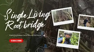 Single Living Root Bridge | Dead end | Hidden Gems of Meghalaya #livingrootbridge #vlog202