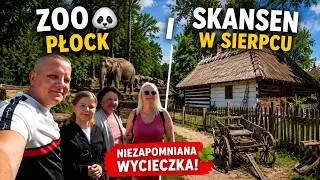 ZOO PŁOCK🐼 I SKANSEN W SIERPCU
