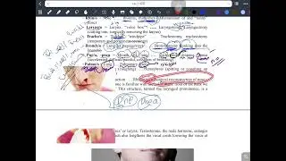 شرح مصطلحات طبيه صيدلية( lecture (7