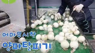 【36】 공기로 양파 까는 기계 양파탈피기!!
