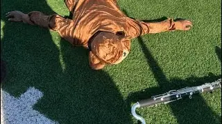 Sachse HS bass clarinet headcam