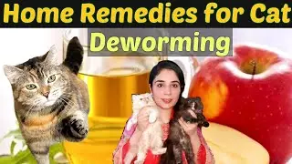 What home remedy can I use to deworm my cat?/ Best Remedies For Cat Deworming / Dr.Hira Saeed