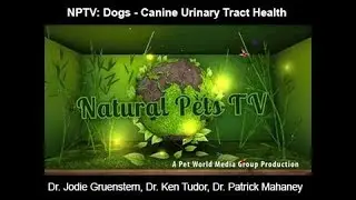 Natural Pets TV: Dog Edition Episode 9 - Canine Urinary Tract Health & Care Information