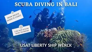 Exploring the USAT Liberty Shipwreck | Bali Scuba Diving Adventure