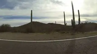 Cactus & Water Towers of San Simon, AZ-86 West, Tohono O'odham Nation, 29 Jan 2019, GP020586
