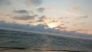 НовостиХреновости-Экстремистам разрешили торговать овощами.Запрет на вислоухих кошек.