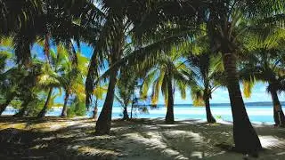 Full Relaxation on Tropical Island  with Soothing Waves & Paradise View