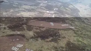 A record breaking year for peatland restoration