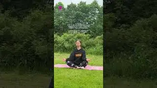 Занимаюсь спортом каждый день с FitStars