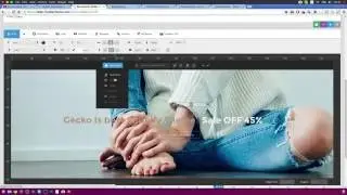 How to install same as Demo Gecko Theme