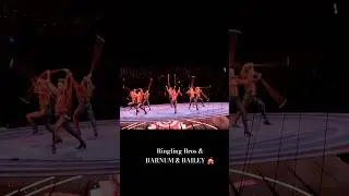 Amazing CIRCUS Show @ Wochester, MA #shorts #TalentSpotlight 🎪