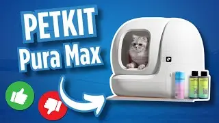 Ist DAS die BESTE SELBSTREINIGENDE KATZENTOILETTE? Petkit Pura Max