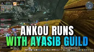 Flyff Universe Ankou Runs With AYASIB Guild