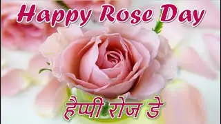 Rose Day Status 2025|Rose Day Status Shayari|Happy Rose Day Whatsapp Status|Rose Day Whatsapp Status