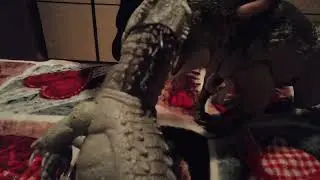 Indominus Rex-Green (Velociraptor) VS Distortus Rex (Fofolo). Jurassic world rebirth mio pt 3