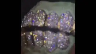 rapper jewelry shopping