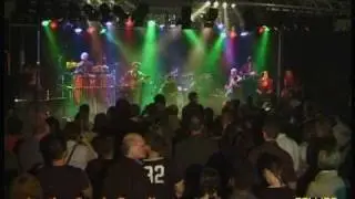 Collins Tribute Band (Markus 