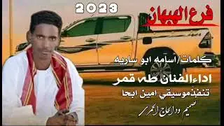 الفنان طه قمر ///23 20 //فرع الهبهان