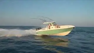 Эверглейдс 325cc Видео 2