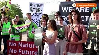 Greta Thunberg joins activists outside EU Parliament
