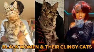 Black Women & Their Clingy Cats #2 | LUCKY UPDATE 🐾 | Funny TikTok Compilation 2026 #cat #cats