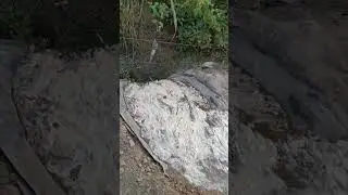 आवाज़ हमारी इसी वादी में रहेगी,......Telipaada,bijnor U.k. border Uttar Pradesh 