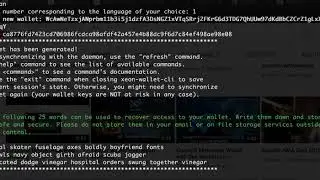 Xeonbit Command Line Interface (CLI)