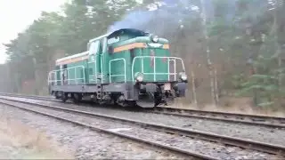Luzaki na grudniowej D29-14