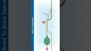 #Shorts How To Tie The Braid To Braid Splice